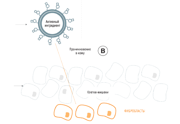 ProSculpt-Smart-Delivery- copy.png ProSculpt-Smart-Delivery- copy.png